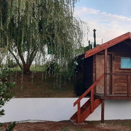 Casinha Do Chorao Ribeirinha (Faial) Exterior foto